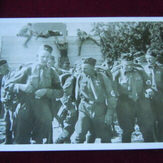 carte postale SA - militaria allemand