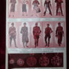 Réédition Signal - militaria allemand