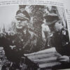 Réédition revue Signal - militaria allemand