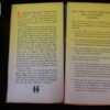 brochure SS Hollande - militaria allemand WWII