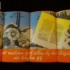 brochure SS Hollande - militaria allemand WWII