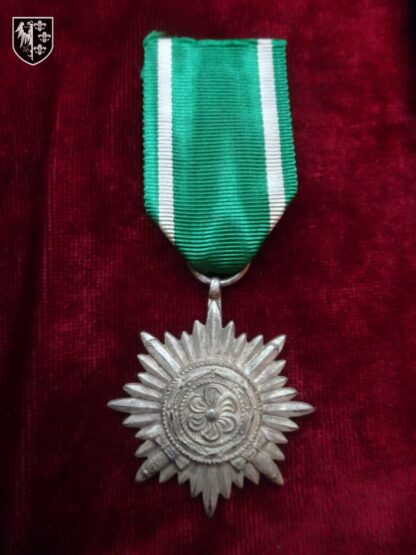 médaille des volontaires de l'Est - militaria allemand WWII