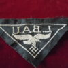 Luftwaffe Laufbahnabzeichen L. Bau - Militaria allemand
