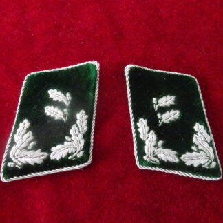 Paire pattes de col forestiers