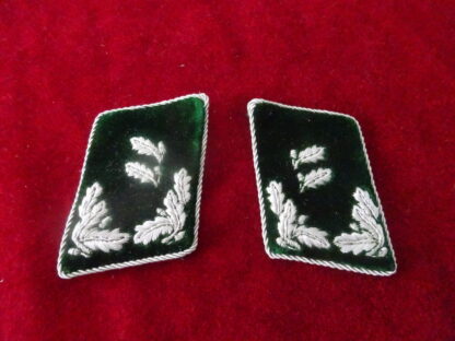 Paire pattes de col forestiers