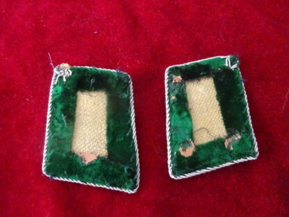 Paire pattes de col forestiers – Image 3